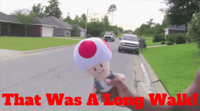 A Stuffed Toad With The Words That Was A Long Walk Behind Him GIF