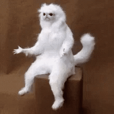 A Stuffed White Cat Is Sitting On A Box With Its Paw Outstretched . GIF