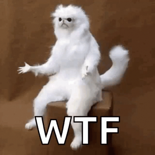 A Stuffed White Cat Is Sitting On A Box With The Words Wtf Written On It . GIF