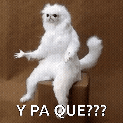 A Stuffed White Cat Is Sitting On A Box With The Words Y Pa Que ? GIF