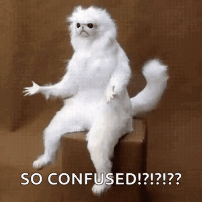 A Stuffed White Cat Is Sitting On Top Of A Box With Its Paws Outstretched . GIF