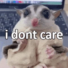 A Sugar Glider With The Words `` I Dont Care '' Written On It . GIF