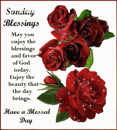 A Sunday Blessings Card With Red Roses On It GIF