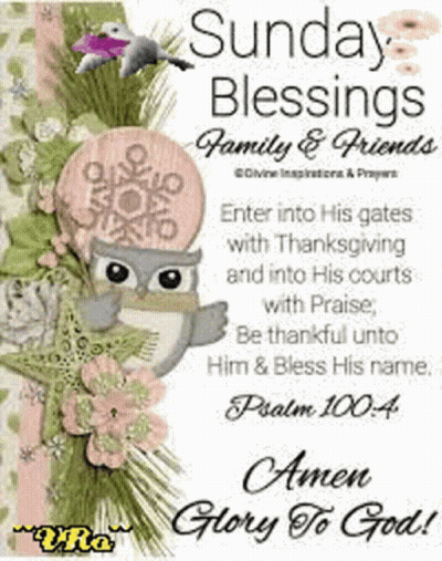 A Sunday Blessings Family And Friends Card With An Owl On It GIF