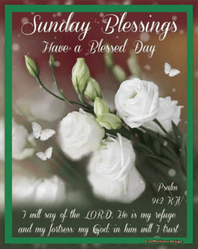 A Sunday Blessings Have A Blessed Day Card With White Roses And Butterflies GIF