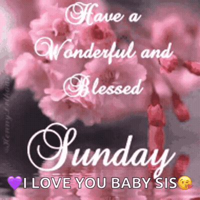 A Sunday Wish With Pink Flowers And The Words Have A Wonderful And Blessed Sunday I Love You Baby Sis GIF