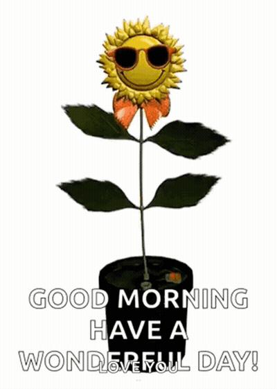 A Sunflower Wearing Sunglasses Is Growing In A Pot And Says `` Good Morning Have A Wonderful Day ! '' GIF