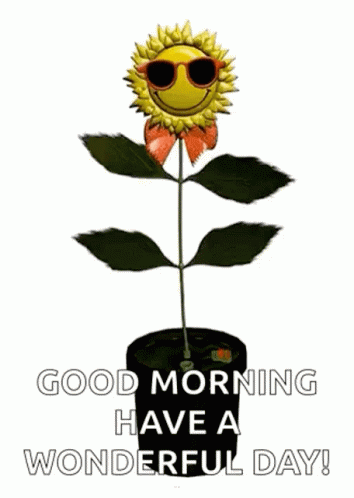 A Sunflower Wearing Sunglasses Is Growing In A Pot And Says `` Good Morning Have A Wonderful Day ! '' GIF