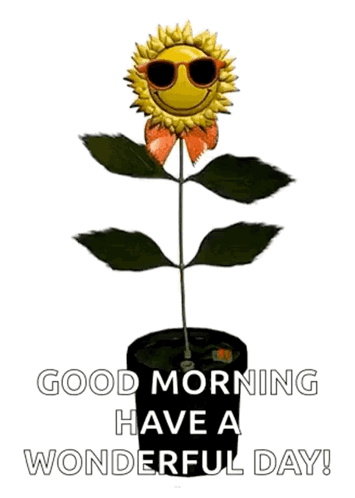 A Sunflower Wearing Sunglasses Is Growing In A Pot And Says `` Good Morning Have A Wonderful Day ! '' GIF