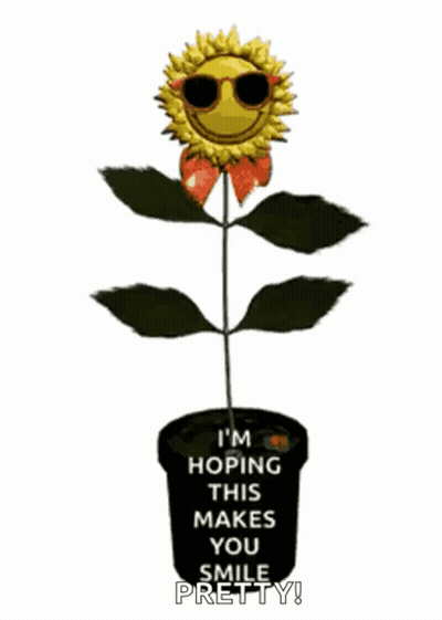 A Sunflower Wearing Sunglasses Is Growing In A Pot And Says I 'M Hoping This Makes You Smile Pretty ! GIF