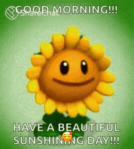 A Sunflower With A Face On It Is Smiling And Saying `` Good Morning !! Have A Beautiful Sunshine Day !!! '' GIF