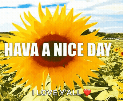 A Sunflower With The Words Have A Nice Day I Love Y'all GIF