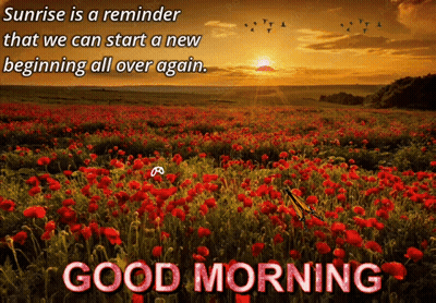 A Sunrise Is A Reminder That We Can Start A New Beginning All Over Again Good Morning GIF