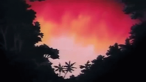 A Sunset In The Jungle With Palm Trees Silhouetted Against A Red Sky . GIF