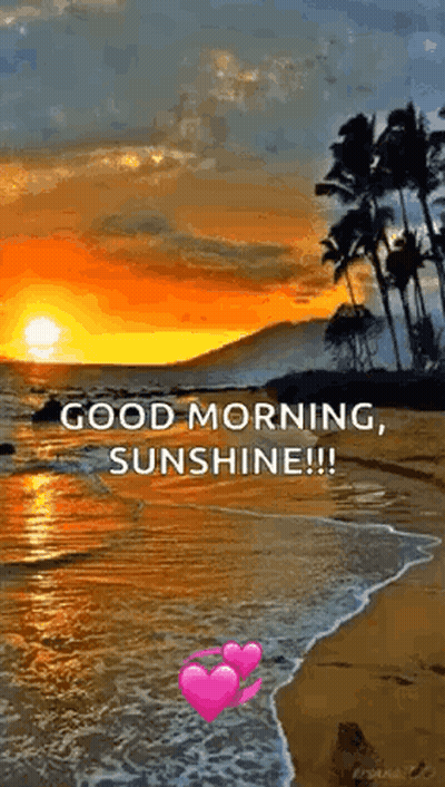 A Sunset On A Beach With The Words `` Good Morning , Sunshine !! '' GIF