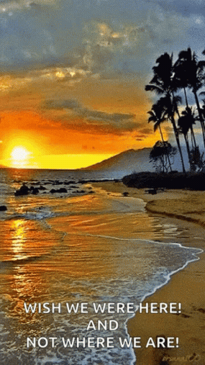 A Sunset On A Beach With The Words Wish We Were Here And Not Where We Are At The Bottom GIF