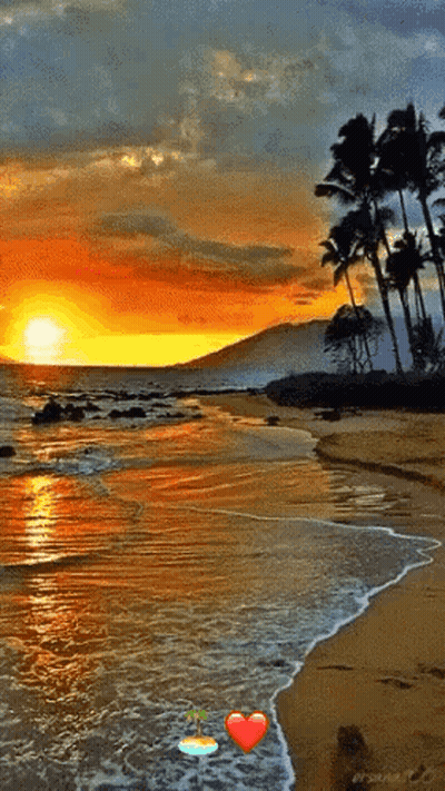 A Sunset Over A Beach With Palm Trees In The Background GIF