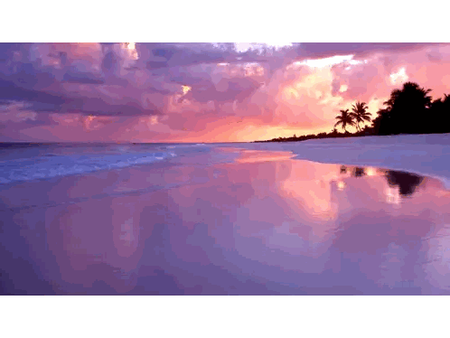 A Sunset Over A Beach With Palm Trees In The Distance Sticker