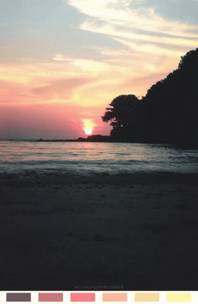 A Sunset Over A Body Of Water Is Shown With A Color Palette Below It GIF
