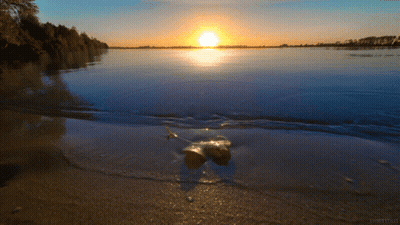 A Sunset Over A Body Of Water With A Few Trees In The Background GIF