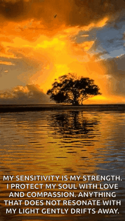 A Sunset Over A Body Of Water With A Tree In The Middle GIF