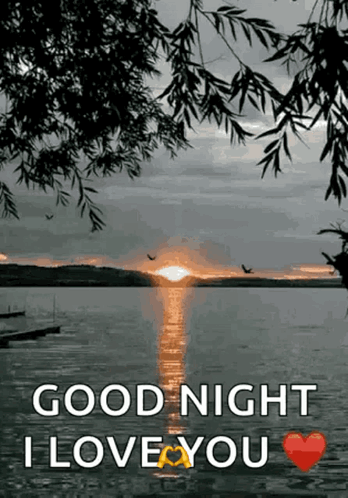 A Sunset Over A Body Of Water With The Words Good Night I Love You GIF