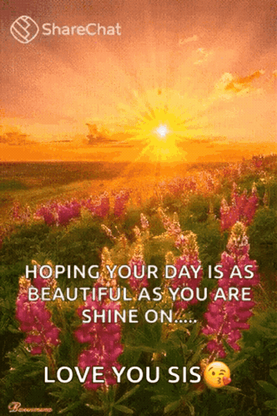 A Sunset Over A Field Of Flowers With The Words " Hoping Your Day Is As Beautiful As You Are Shine On ... " GIF
