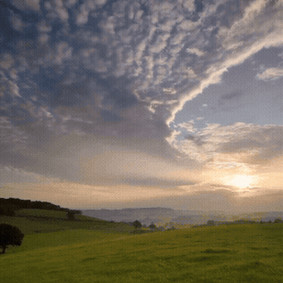 A Sunset Over A Grassy Field With Trees In The Distance GIF