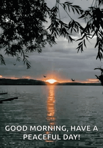 A Sunset Over A Lake With Birds Flying Over It GIF