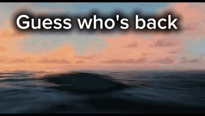 A Sunset Over The Ocean With The Words " Guess Who 'S Back " GIF