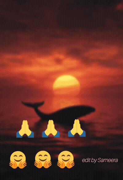 A Sunset With A Whale In The Background And The Words Goodm Rnin All Fyo Hav Av R Be Ti Uld Y GIF