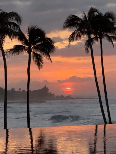 Sunset With Palm Trees And Pool GIF