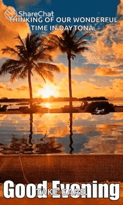 A Sunset With Palm Trees In The Foreground And The Words Good Evening GIF
