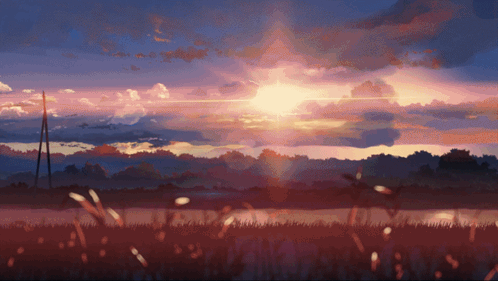 A Sunset With The Sun Shining Through The Clouds Over A Field GIF