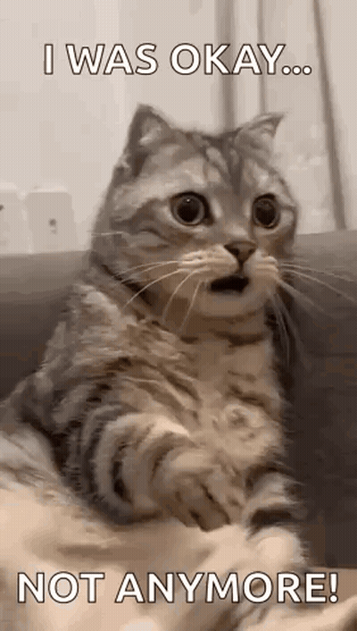 a surprised cat is sitting on a couch with a caption that says `` i was okay ... not anymore '' .