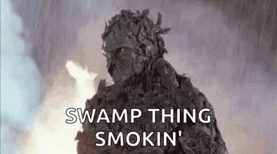 A Swamp Thing Is Standing In Front Of A Fire And Says `` Swamp Thing Smokin '' . GIF