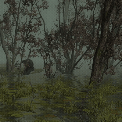 A Swamp With Trees And A Frog In The Water GIF