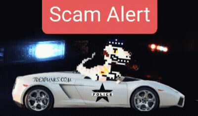 A T-Rexpunks.com Logo Is On The Side Of A Car GIF