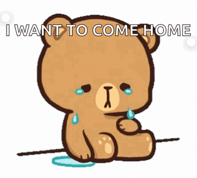 A Teddy Bear Is Crying With The Words I Want To Come Home GIF