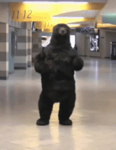 A Teddy Bear Is Dancing In Front Of A Yellow Sign That Says 11.12 GIF
