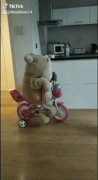 A Teddy Bear Is Riding A Pink Bike With A Basket On It GIF