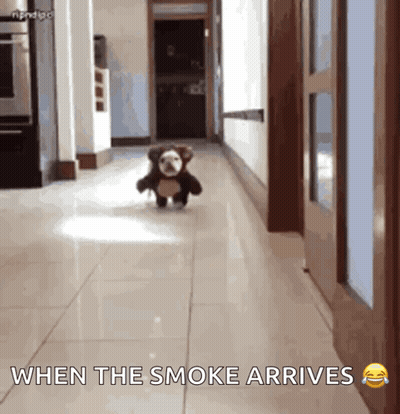 A Teddy Bear Is Running Down A Hallway With The Caption " When The Smoke Arrives " GIF