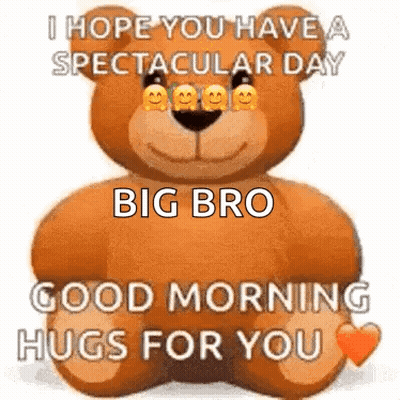 A Teddy Bear Is Sitting Down And Says `` I Hope You Have A Spectacular Day Big Bro Good Morning Hugs For You '' GIF