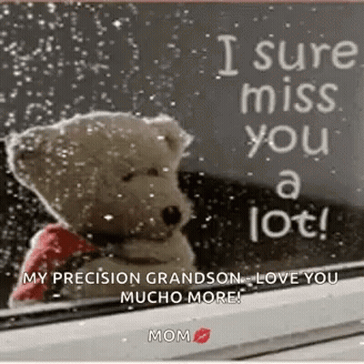 A Teddy Bear Is Sitting In Front Of A Window With A Sign That Says `` I Sure Miss You A Lot '' . GIF