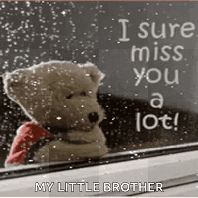 A Teddy Bear Is Sitting In Front Of A Window With A Sign That Says `` I Sure Miss You A Lot ! `` GIF