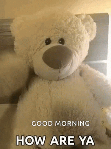 A Teddy Bear Is Sitting On A Bed With The Words `` Good Morning How Are Ya '' . GIF