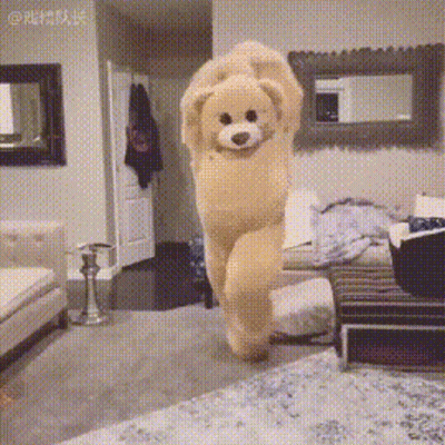 A Teddy Bear Is Standing In A Living Room With Its Arms Outstretched GIF