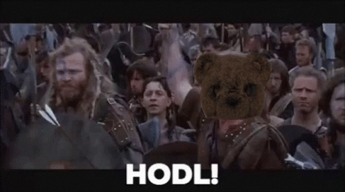 A Teddy Bear Is Standing In Front Of A Crowd Of People With The Word Hodl Written On The Bottom . GIF