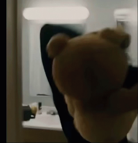 A Teddy Bear Is Standing In Front Of A Mirror In A Room . GIF