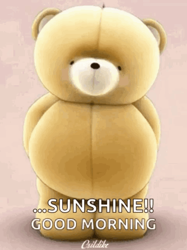 A Teddy Bear Is Standing On A Pink Background With The Words `` Sunshine ! Good Morning '' Written On It . GIF